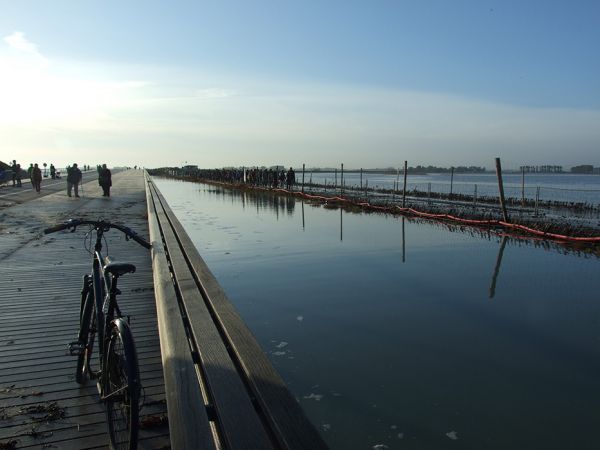 Les groupes arrivent par la route provisoire desservie par les navettes !!!